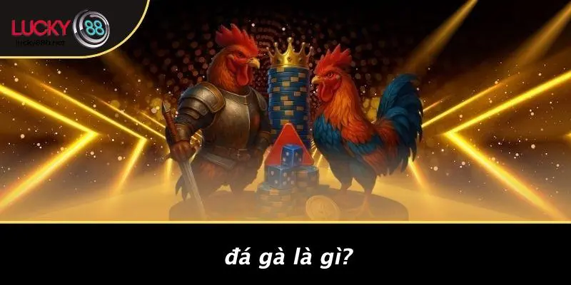 ĐÁ GÀ LUCKY88: TRẢI NGHIỆM CỰC ĐỈNH, HẤP DẪN VÀ CHIẾN THẮNG - vogixu