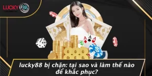 Pháp lý - LUCKY88 - vogixu