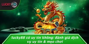 Pháp lý - LUCKY88 - vogixu
